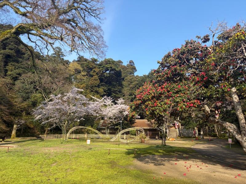 公園内の様子